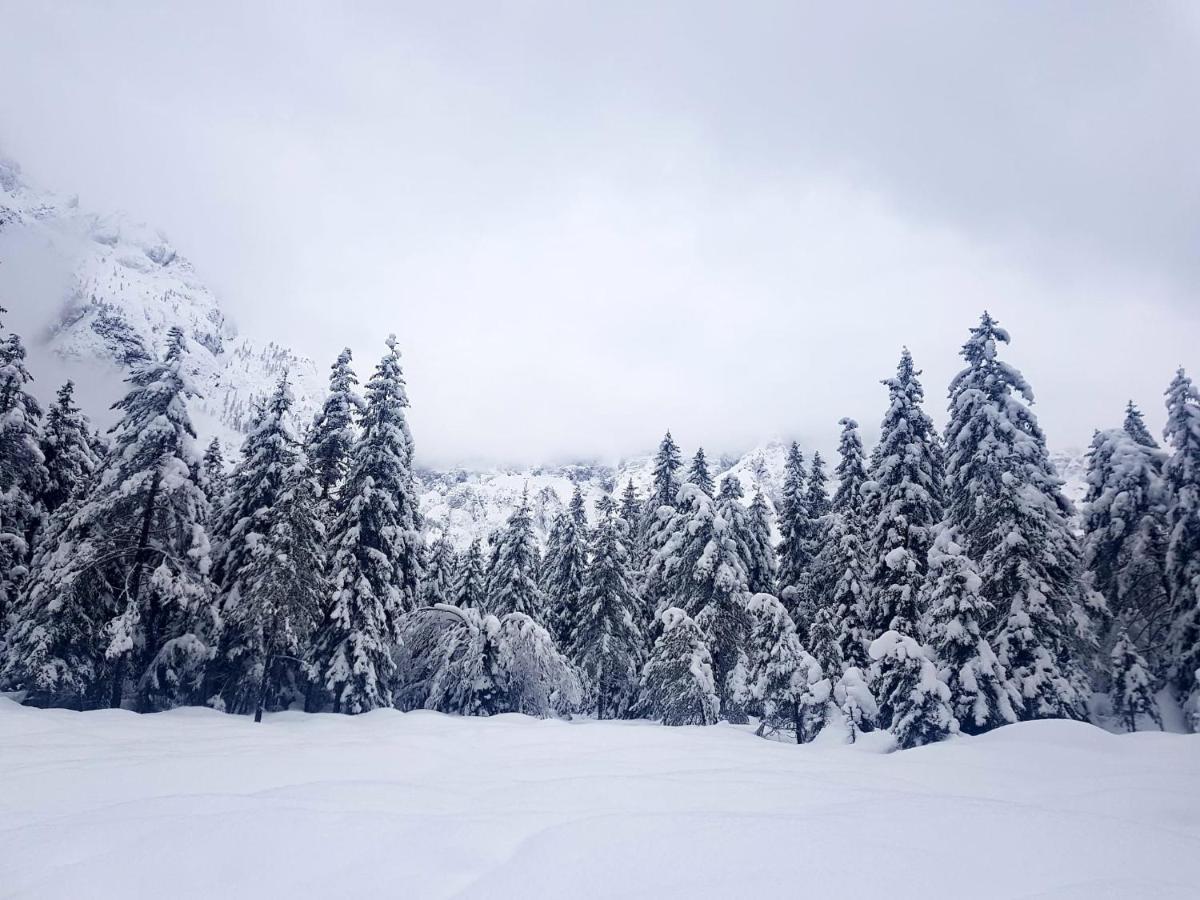 Hotel Saisera Valbruna Dış mekan fotoğraf